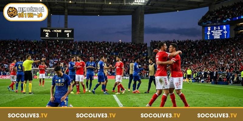 Trang chủ 166 Socolive cung cấp kết quả bóng đá nhanh và chuẩn xác